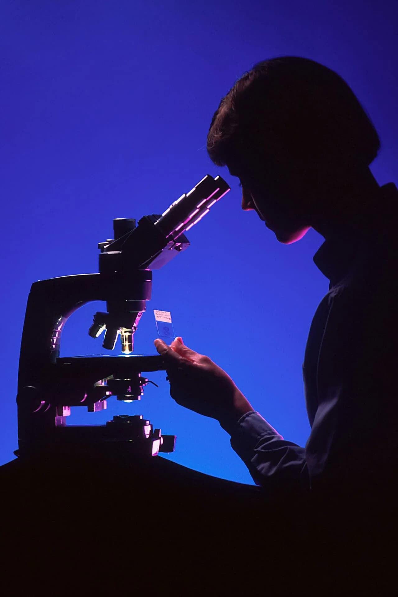 A researcher at a microscope under blue light